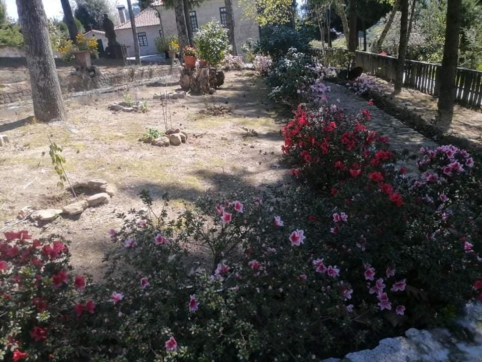 Quinta Da Cartida Villa Santa Marinha do Zezere Bagian luar foto